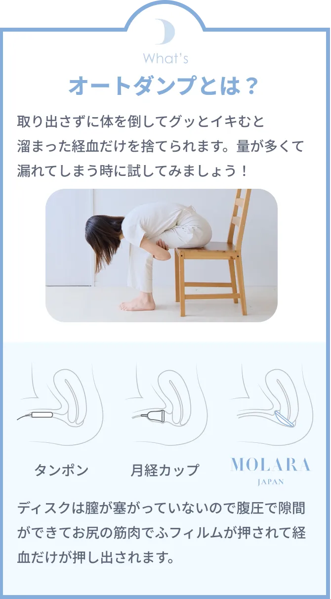 オートダンプとは？ モーダルイメージ