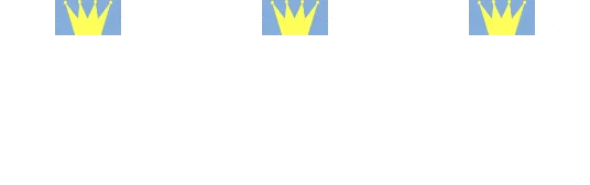 国内製造、医療グレード、医師も評価